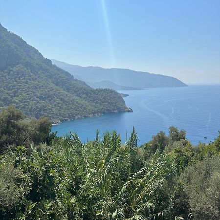 Kabak Armes Hotel Faralya Exteriör bild