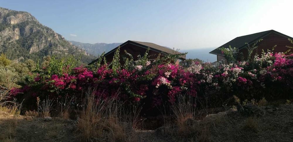 Kabak Armes Hotel Faralya Exteriör bild