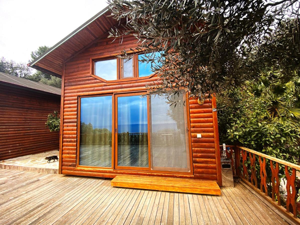 Kabak Armes Hotel Faralya Exteriör bild