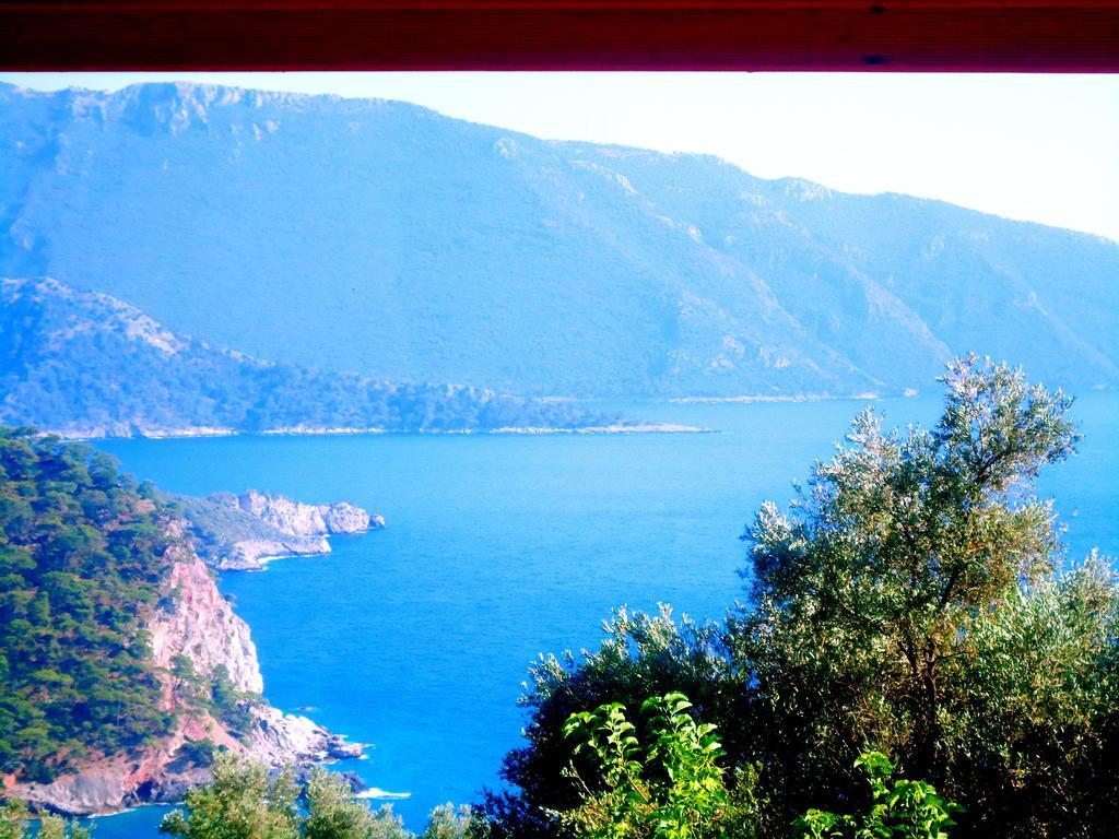 Kabak Armes Hotel Faralya Exteriör bild