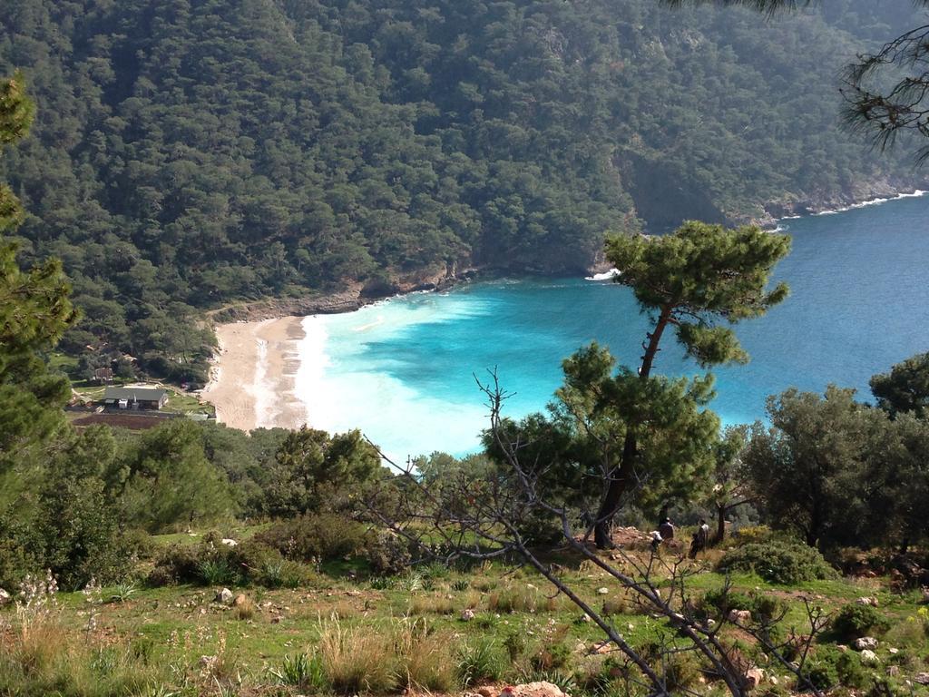 Kabak Armes Hotel Faralya Exteriör bild